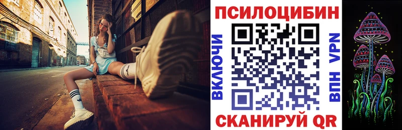 Галлюциногенные грибы MAGIC MUSHROOMS где найти наркотики Медногорск